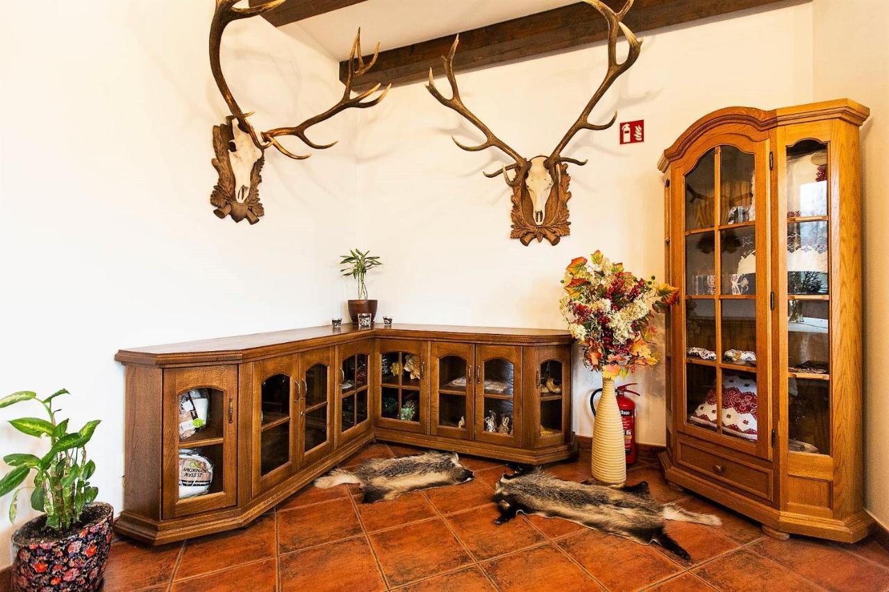 Habitación en casa particular Borsuczyna Wetlina